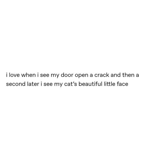 ❤️❤️❤️ #catlovers #cats #catlife Kitten Captions For Instagram, Love My Cat Quotes, I Love My Cat Quotes, Cat Quotes Instagram, Cat Quotes Love, Cat Soulmate, Cat Person Quotes, Cat Owner Quotes, Pet Quotes Cat