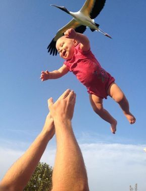 20 Incredible Photos That Were Taken at the Perfect Moment - I Can Has Cheezburger? Photo Animaliere, Photo Star, Leyte, Perfectly Timed Photos, Foto Tips, Great Pic, Perfect Timing, Time Photo, Komik Internet Fenomenleri