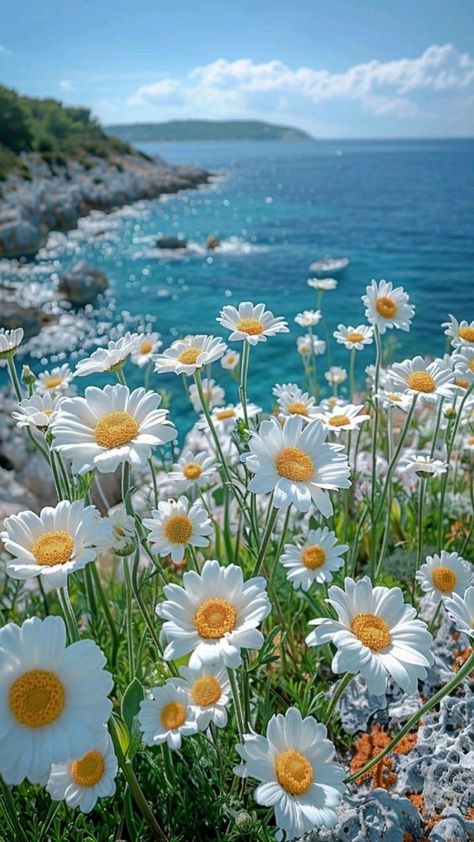 Water And Flowers Aesthetic Wallpaper, Spring Time Aesthetic Nature, Cute Nature Photos, Cute Nature Pictures, Dp Flower Images, Beautiful Flowers Pictures Nature, Beautiful Images Nature Peace, Flower Daisy Aesthetic, Flowers In Water Aesthetic