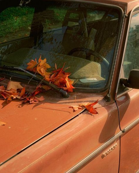 Fall Retro Aesthetic, Auburn Color Aesthetic, Nature Red Aesthetic, Colorful Autumn Aesthetic, Autumn Photography Aesthetic, Fall Hippie Aesthetic, Pale Orange Aesthetic, Rusty Orange Aesthetic, Autumn Mood Board Aesthetic