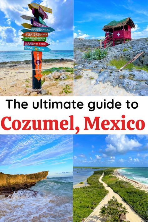 Things To Do In Cozumel Mexico, Cozumel Port Things To Do, Cozumel Mexico Things To Do In, Margaritaville Cruise, What To Buy In Cozumel, What To Do In Cozumel, Things To Do In Cozumel Cruise Port, Cozumel Cruise Port, Things To Do In Cozumel