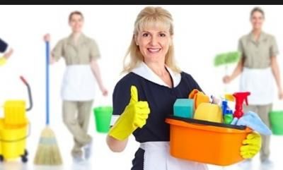 If you need assistance with bathroom cleaning, then choose Mercedes Diaz. She handles various services, including dusting, vacuuming, kitchen cleaning, and more. Cleaning Tile Floors, Bathtub Tile, Drill Brush, Aged Care, Tub Tile, Kitchen Sponge, Clean Tile, Apartment Cleaning, House Cleaning Services