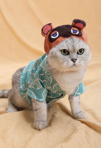 Animal Crossing Tom Nook Tanukichi Raccoon Dog Pets Photo Prop Cosplay Costume T-shirt Clothing and Hooded Hat for Cats and Dogs Animal Crossing Tom Nook, Hooded Hat, Tom Nook, Costumes Wigs, Raccoon Dog, Dog Pets, Costumes For Sale, T Shirt Costumes, Costume Wigs