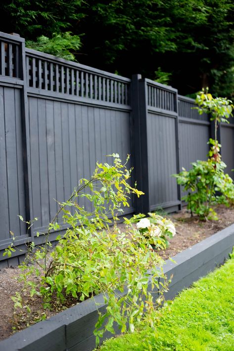 black wood cedar fence. Black Wood Fence Reveal • Black Stain on a Wood Fence, before and after! Black stain on a wood fence is the perfect mix of modern and classic home style. Stain Fence Black, Black Stained Wood Fence, Black Cedar Fence, Black Fence Stain, Black Painted Fence, Dark Fence Stain, Stained Privacy Fence, Black Stained Fence, Stained Fence Ideas