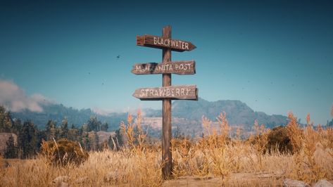 Red Dead Aesthetic, Red Dead Redemption Aesthetic, Rdr2 Landscape, Red Dead Redemption 2 Aesthetic, Rdr2 Aesthetic, Rdr2 Photography, Gaming Journal, 2 Aesthetic, Read Dead