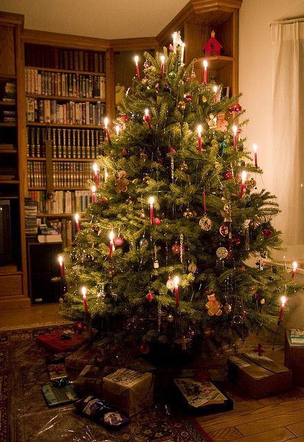 Oh Christmas Tree! Traditional Christmas Tree Candles...   steveluscher, via Flickr Easy Holiday Desserts Christmas, Tree Candles, Holiday Trees, Christmas Tree Candles, Traditional Christmas Tree, German Christmas, Candle Tree, Beautiful Christmas Trees, Old Fashioned Christmas