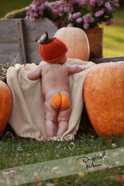 Need to do this with Elias Pumpkin Patch Outfit Kids, Holiday Baby Pictures, Halloween Baby Pictures, Fall Baby Photos, Fall Baby Pictures, Pumpkin Patch Pictures, Photo Halloween, Patch Outfit