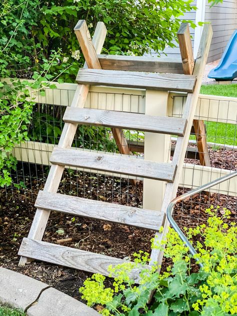 Garden Ladder Ideas, Flagstone Steps, Ladder Planter, Ladder Ideas, Garden Ladder, Creative Backyard, Building A Retaining Wall, Landscaping Ideas On A Budget, Diy Ladder