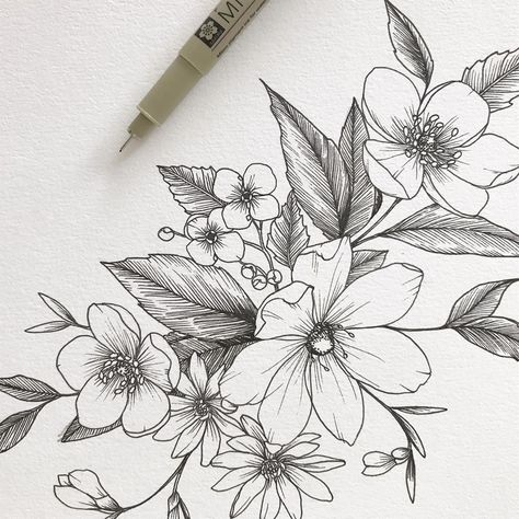 Cosmos, Hawthorn, Aster, Snowdrop + Holly. Hawthorn Flower Tattoo, Hawthorn Tattoo, Hawthorne Flower, Aster Flower Tattoos, Hawthorn Flower, Cosmos Tattoo, Holly Flower, Flower Tattoo Meanings, Family Tattoo Designs