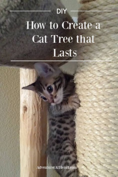 Diy Cat Tree With Crates, How To Build A Cat Tree Diy, How To Build A Cat Tower, Cat Condo Diy How To Build, Make Your Own Cat Tree, How To Make A Cat Tower, Cats Climbing Trees, Build Your Own Cat Tree, Cat Tree Diy Plans How To Build