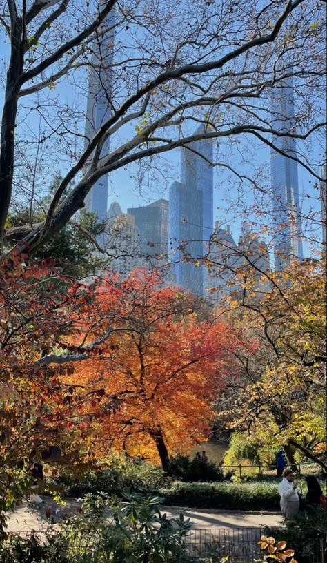 New York During Fall, Chicago Aesthetic Fall, New York Autumn Outfit, New York Fall Aesthetic, New York In Autumn, New York In The Fall, Nyc Autumn, New York Autumn, Autumn Outfit Aesthetic