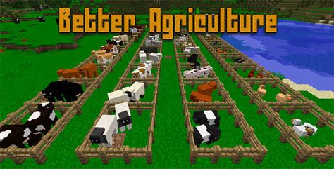 Minecraft Pe, Minecraft 1, Minecraft Mods, Pigs, Agriculture, Soccer Field, Minecraft