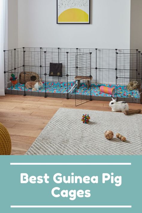 Spacious & Customizable C&C Cages C C Cage Rabbit Ideas, C And C Rabbit Cage, Bunny Habitat Indoor, Diy Bunny Cage Indoor, Cages For Rabbits, Rabbit Cage Indoor, Diy Bunny Cage, Diy Rabbit Cage, Indoor Rabbit Cage