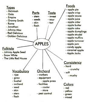 apple topic web Germs Lessons, Creative Curriculum Preschool, Emergent Curriculum, Apple Activities, Tree Study, Curriculum Planning, Kindergarten Lesson Plans, Group Project, Creative Curriculum