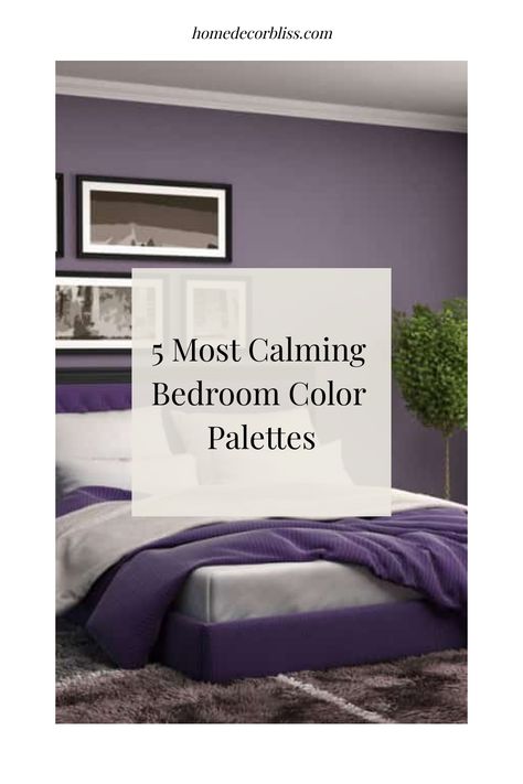 5 Most Calming Bedroom Color Palettes Soothing Purple Bedroom, Most Relaxing Bedroom, Purple Bedrooms Ideas, Bedroom Color Combos, Bedroom Purple And Gray, Purple And Gray Bedroom Ideas, Purple And Gray Bedroom, Relaxing Bedroom Colors, Calming Bedroom Colors