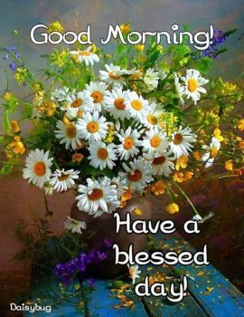 Good Morning Blessings (63 pieces) Greetings For The Day, Good Morning Spiritual Quotes, Happy Morning Quotes, Good Morning Flowers Quotes, Good Morning Beautiful Pictures, Good Morning Beautiful Images, Good Morning God Quotes, Good Morning Cards, Good Morning Images Flowers