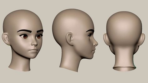 ArtStation - Willian Lima - Stylized Female Head Basemesh Stylized Character Head Turnaround Image, Stylized Head Reference, 3d Head Reference, Female Head Shape, Stylized Sculpt, Stylized Head, Head Proportions, Model Anatomy, Vrchat Avatar