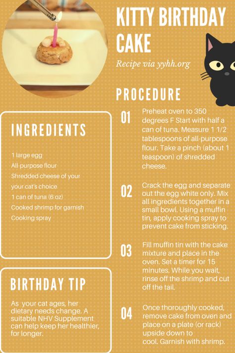 Cake Recipe For Cats, Homemade Cat Treats Recipes, Diy Cat Treats, Kitty Birthday Cake, Pet Treats Recipes, Birthday Cake For Cat, Homemade Cat Food, Cat Snacks, Cat Birthday Party