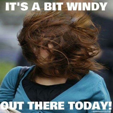 It's a bit windy out here today Windy Hair, Wind Quote, Hair Quotes Funny, Weather Memes, Funny Weather, Hair In The Wind, Blowing In The Wind, Windy Weather, Hair Quotes