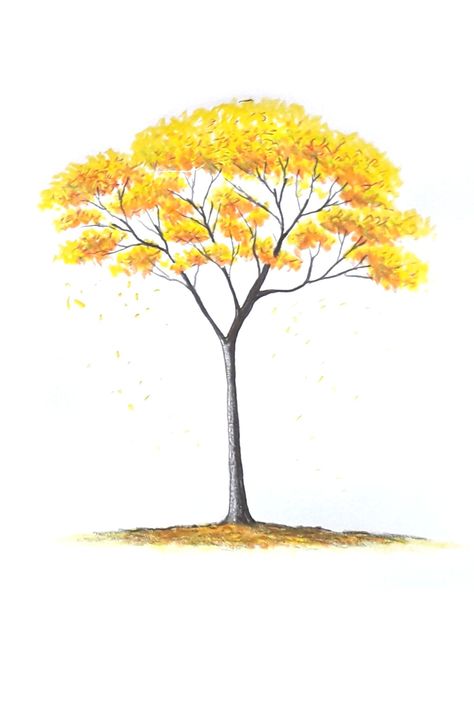 Árvore ipê amarelo para desenhar Positivity Tattoo, Majestic Tree, Tree Of Life Painting, Tree Tattoos, Abstract Tree Painting, Landscape Painting Tutorial, Wonders Of Nature, Wall Murals Painted