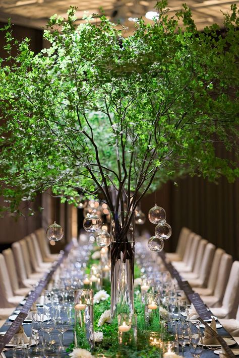 Ivy Centerpiece Wedding, Auction Decor, Brides Table, Ideas Matrimonio, Wedding Tree Decorations, Enchanted Forest Party, Tree Centerpiece, Branch Centerpieces, Ball Room