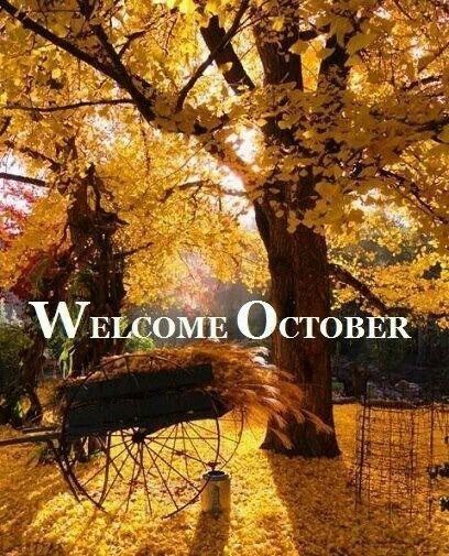 Welcome October quotes quote months october hello october october quotes goodbye september Welcome October, October 1st, Autumn Scenes, Seasons Of The Year, Autumn Beauty, Best Seasons, Yellow Leaves, Mellow Yellow, Pics Art