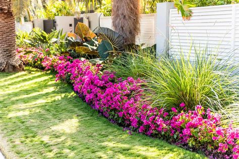 Plants That Like Shade, Zone 8b, Small Tropical Gardens, Florida Landscaping, Tropical Garden Design, Plant Maintenance, Backyard Inspo, House Landscape, Tropical Landscaping