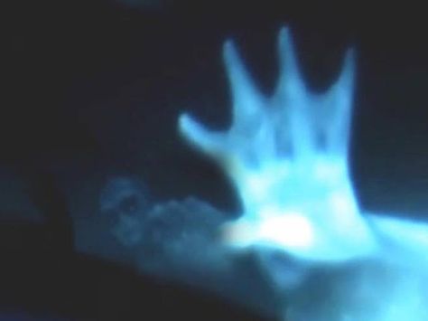 Real Mermaid Sightings | ... mermaids from last year, "Mermaids: The Body Found." Watch short video Mermaids The Body Found, Real Mermaids Sightings, Mermaid Sightings, Latest Ufo, Latest Ufo Sightings, Creature Marine, Mermaid Skeleton, Unexplained Mysteries, Real Mermaids