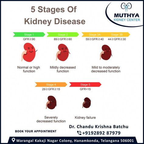 Remedies For Kidney Pain, Kidney Function Test, Benefits Of Sports, Kidney Pain, Creatinine Levels, Yoga Information, Chronic Kidney, Human Body Parts, Sleep Remedies