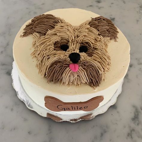 Dog Face Cake Design, Cake Designs For Dogs, Dog Cake Decoration, Yorkie Cake, Dog Cake Design, Dog Lover Cake, Zoe Cake, Puppy Birthday Cakes, Succulent Cake