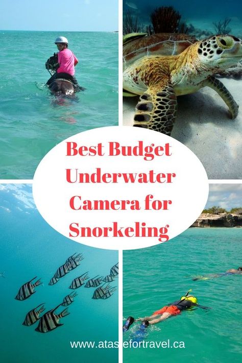 Looking for the Best Budget Underwater Camera for Snorkeling? Check out our review of the FujiFilm XP70 waterproof camera, an easy to use camera for children and adults that delivers high quality images. Its also rugged enough for other types of adventure #travel #photography #family Snorkeling Pictures, Adventure Travel Photography, Best Cameras For Travel, Best Camera For Photography, Best Dslr, Turks Caicos, Underwater Camera, Waterproof Camera, Camera Shop