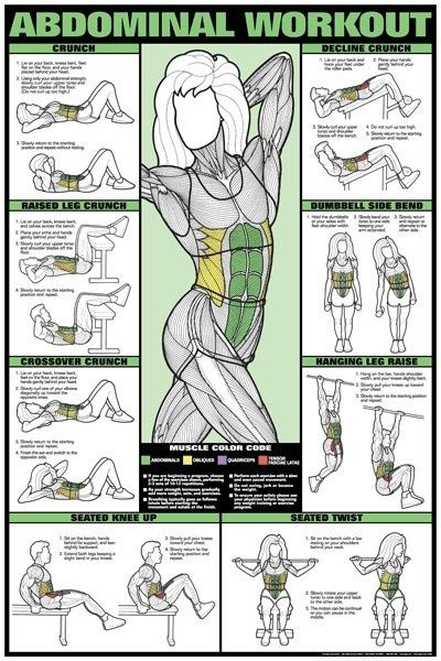 Muscle group workouts - Imgur Exercise Board, Perut Six Pack, Sixpack Workout, Workout Bauch, Exercises For Women, Body Exercises, Workout Posters, Leg Curl, Ab Exercises