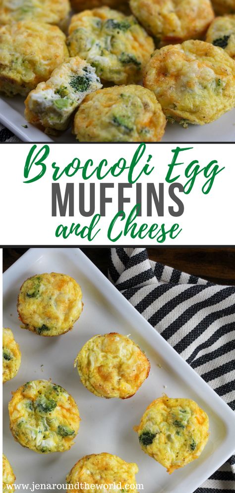 Broccoli Cheese Egg Cups, Broccoli And Carrot Muffins, Breakfast Ideas Broccoli, Egg Cheese Broccoli Muffin, Broccoli Muffins Healthy, Broccoli Egg Cups, Broccoli For Breakfast, Brocolli Egg Bites, Egg Broccoli Cheese Muffins