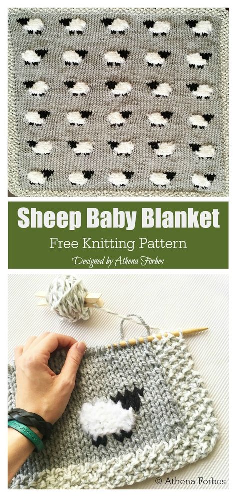 Sheep Baby Blanket, Purl Bee, Easy Knitting Projects, Blanket Crochet Pattern, Unique Blankets, Knitted Baby Blankets, Blanket Knitting Patterns, Baby Blanket Pattern, The Sheep