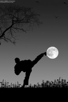 Shoot for the Moon! taekwondo. yop chagi. Martial… Jiu Jutsu, Martial Arts Photography, Tang Soo Do, Kyokushin Karate, Pencak Silat, Ju Jitsu, Hapkido, Floyd Mayweather, Seni 3d