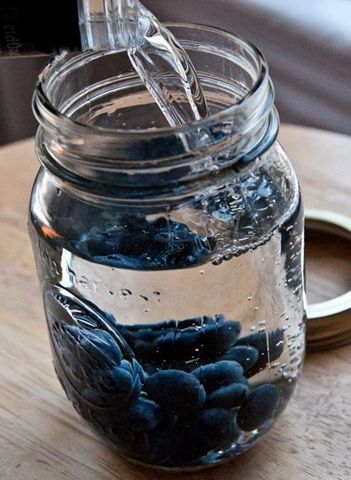 A delicious summery moonshine infusion that can be enjoyed year round. You can use vodka or even gin instead of moonshine. Lemonade Moonshine Recipe, Blueberry Moonshine, Diy Moonshine, Homemade Beverages, Homemade Moonshine, Moonshine Cocktails, Drink Board, Moonshine Recipe, Hard Drinks