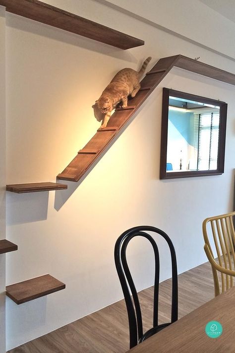 Cat Tree Plans, Cat Room Decor, Cat Climbing Wall, Chat Diy, Cat Bedroom, Cat Patio, Cat Wall Shelves, Cat Hotel, Cat Wall Furniture