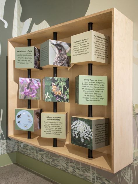 Alex Wilkie Nature Reserve is a beautiful area of remnant bushland in the City of Greater Dandenong. Working with Council’s Conservation Engagement team, we designed and delivered an interpretive display within the Visitor Centre. The display is firmly focussed on education, using interactive elements, illustration and photography to share local biodiversity stories with a wide audience. Pola Jaring, معرض فني, Exhibition Display Design, Finance Accounting, Museum Exhibition Design, Interactive Display, Museum Displays, Anna White Diy, 2x4 Furniture Plans