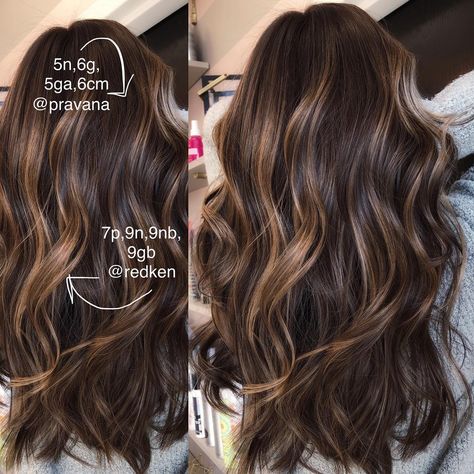 Tabetha Carns on Instagram: “Created by Melting🤗” Rose Brunette, Fall Haircolor, Rose Highlights, Fall Brunette, Medium Brunette, Highlights Brunette, Blonde Honey, Brunette Medium, Balayage Brown