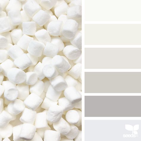 Marshmallow Tones | design seeds | Bloglovin’ Grey Paint Colors, White Paint Colors, Trendy Living Rooms, Design Seeds, Color Palette Design, Living Room White, Reggio Emilia, Living Room Colors, New Wall