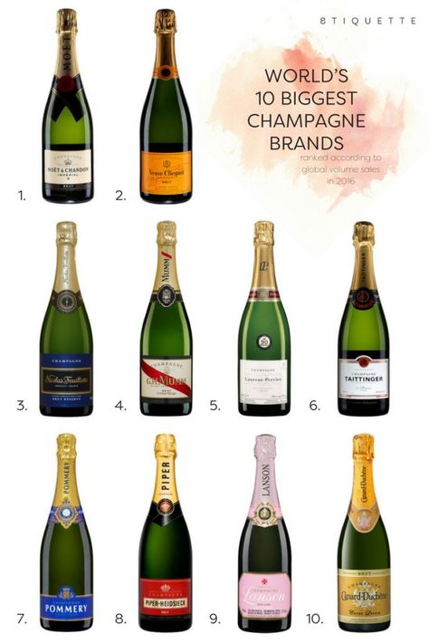 Wine Chart, Champagne Brands, Wine Folly, Champagne Drinks, Chart Infographic, Best Red Wine, Wine Knowledge, Food Infographic, Champagne Taste