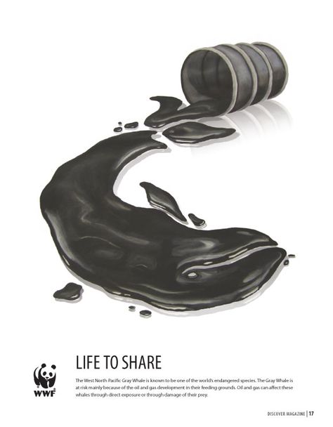 This WWF poster was created to advertise this concern using an illustration that would  best describe this problem. Description from aliciacairns.com. I searched for this on bing.com/images Wwf Poster, Environmental Posters, Polish Poster, Animal Conservation, Awareness Poster, Environmental Problem, Visual Metaphor, Publicidad Creativa, Creative Ads