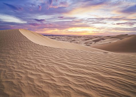 Desert Biome, Desert Pictures, Desert Ecosystem, Desert Background, Desert Places, Deserts Of The World, Hd Nature Wallpapers, Biome, Summer Sunset