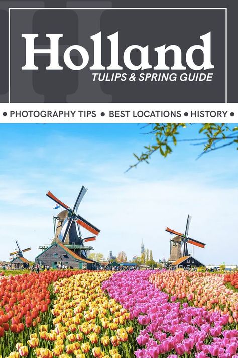 Where, how and most importantly when to see tulips in the Netherlands + useful travel tips and historical insight. #travel #spring #flowers #tulips #Holland #Netherlands #Europe #Europetravel Amsterdam What To Do, Tulips Holland, Travel Holland, Flowers Tulips, Visit Amsterdam, Vacation Photography, Lightroom Tutorial Photo Editing, Holland Netherlands, Travel Photography Tips