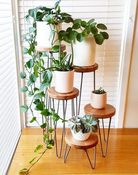 Do you need tips on indoor plants decor ideas? What are the best low maintenance indoor plants, indoor plants styling, best indoor plants decor living room. Indoor plant stands, indoor plant walls, indoor plnt display ideas. From tall, small and large indoor plants decor and styling. #indoorplants #indoorplantsdecor #indoorplantstyling #indoorplantsdecorlivingroom Indoor Plants Decor Living Room, Planting Chart, Boho Deck, Low Maintenance Indoor Plants, Indoor Plants Styling, Large Indoor Plants, Small Indoor Plants, Modern Plant Stand, Metal Plant Stand