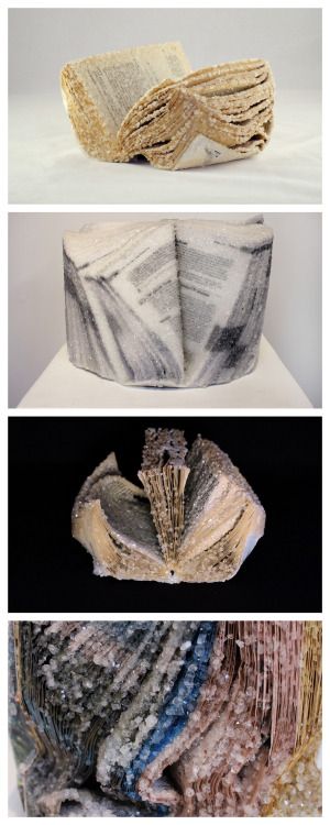 Make Your Own Crystallized Book SculpturesThese Crystallized... How To Crystallize A Book, Diy Crystalized Book, How To Crystallize Books, Borax Book, Borax Crystals Diy Halloween, Crystal Book Diy, Borax Crystal Book, Crystallized Books, Crystalized Book