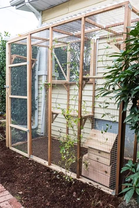 9 Free DIY Catio Plans Catio Plans Diy, Kitten Fostering, Outside Cat Enclosure, Cat Mansion, Catio Plans, Diy Cat Enclosure, Katt Diy, Katt Grejer, Chat Diy