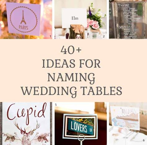 40 + ideas for naming wedding tables Wedding Table Themes, Party Planning Business, Event Planning Logo, Event Planning Checklist, Wedding Planning Business, Wedding Table Names, Dream Destination Wedding, Event Planning Business, Names Ideas