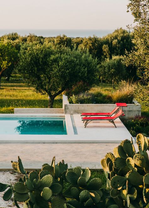 Masseria Moroseta, Ostuni Andrew Trotter, Masseria Moroseta, Ostuni Puglia, Volunteer Travel, Best Christmas Markets, Christmas Markets Europe, Olive Grove, Conde Nast Traveler, Design Hotel