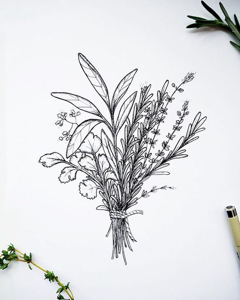 A little bouquet of my favourite herbs 🌿🖊 Flowers Drawing Simple, Cool Designs To Draw, Herb Tattoo, Culinary Tattoos, Botanisches Tattoo, Cute Flower Drawing, Herb Bouquet, Chef Tattoo, Simple Flower Drawing